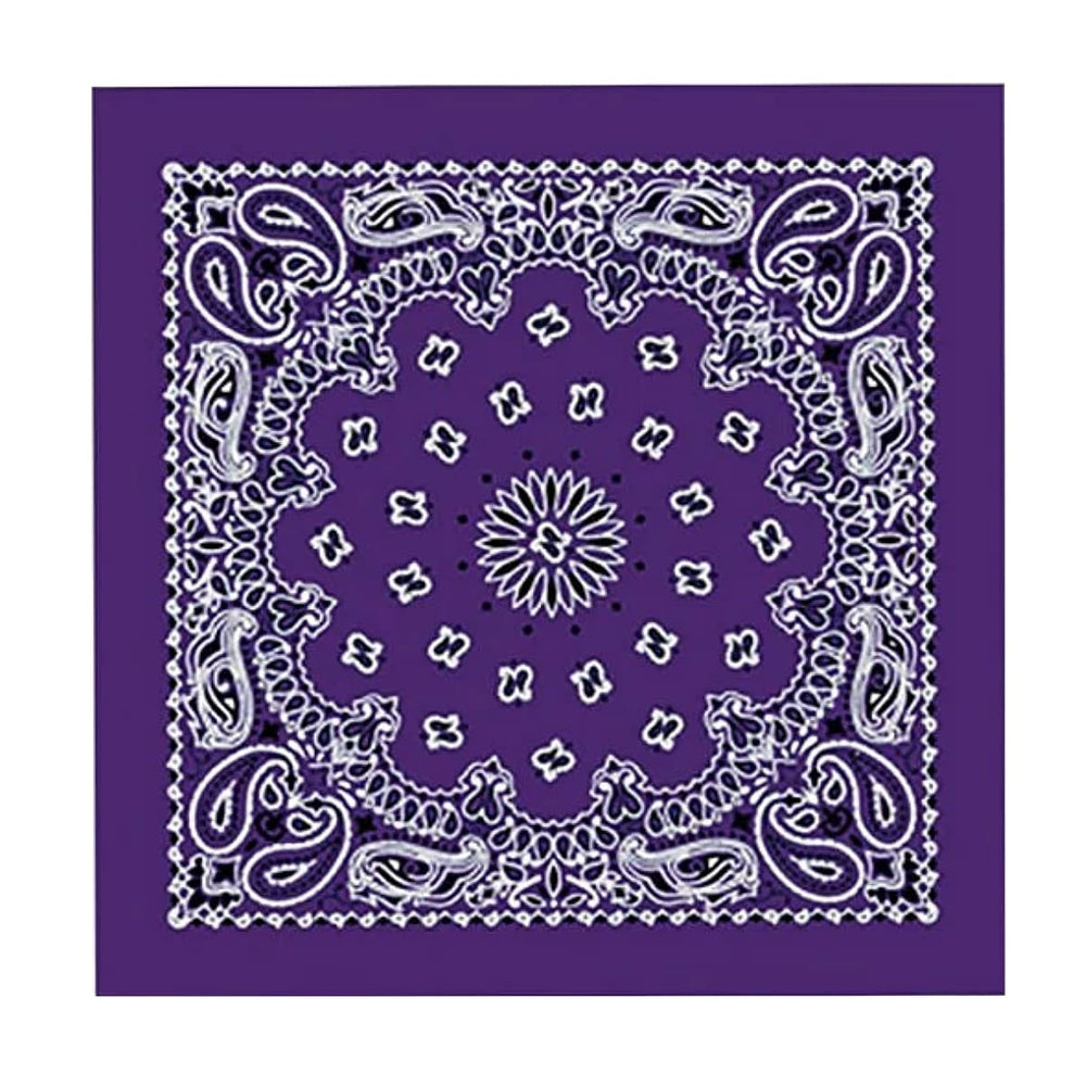 Hot Leathers BAP1002 Classic Purple Paisley Bandana