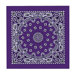 Hot Leathers BAP1002 Classic Purple Paisley Bandana