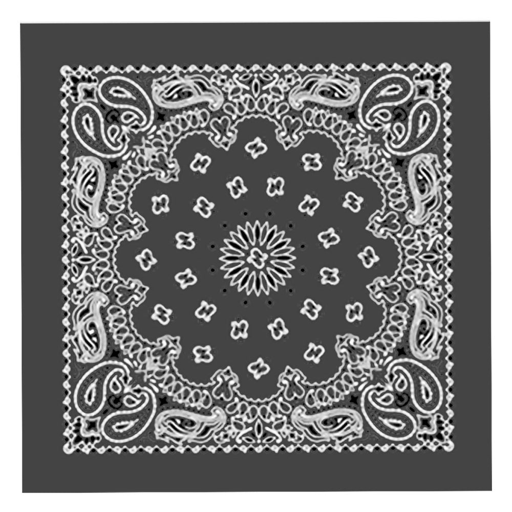Hot Leathers BAP1006 Classic Charcoal Paisley Bandana
