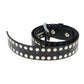 Milwaukee Leather MP7100 Men's Studded Black Genuine Leather Belt for Biker with Buckle - 1.5 inches Wide